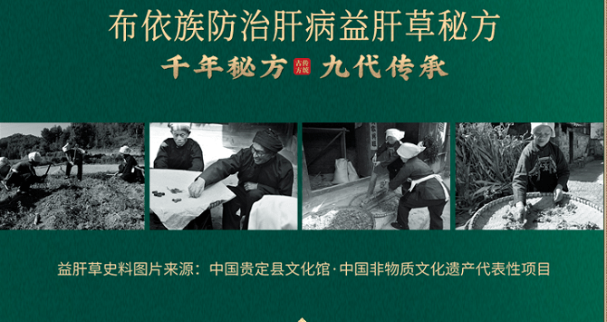 记录传承：国家级非物质文化遗产布依族益肝草制作技艺（二）