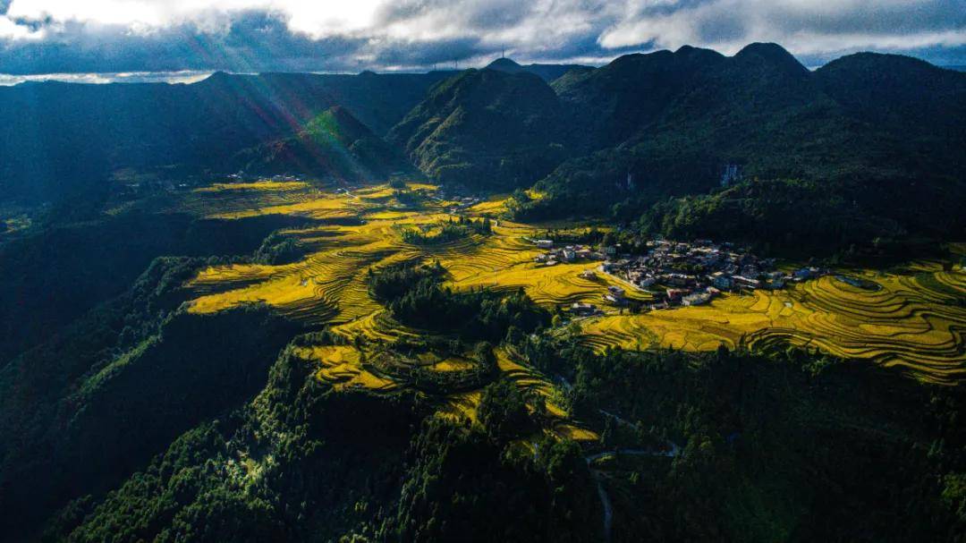 千年传承古方，能否抓住新机遇？